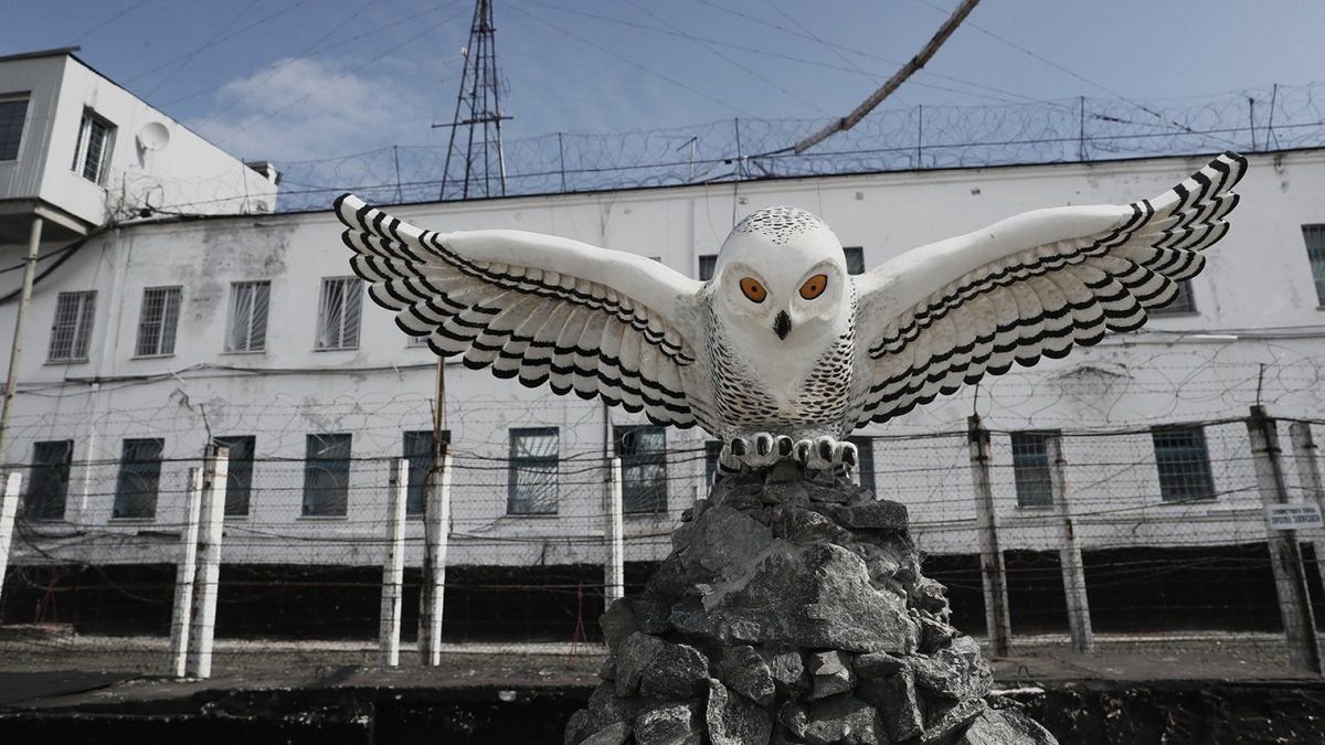 Полярная сова тюрьма для пожизненно фото
