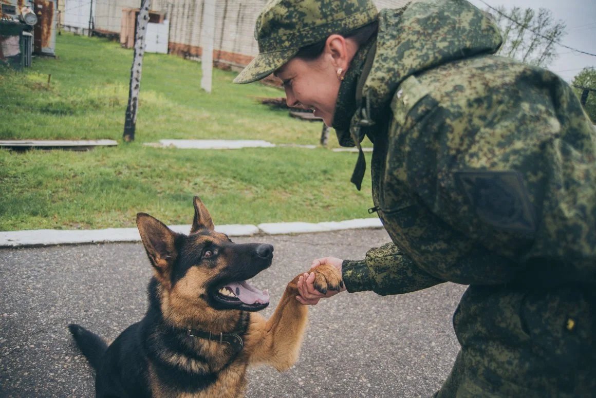 Фото пограничников с собакой на границе