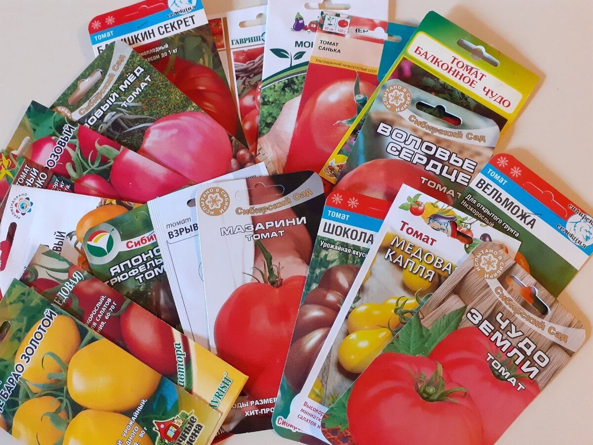 томат хани рейн описание. сорт томат рейна агромания. томат рейна характеристика и описание сорта. сорт томат рейна агромания. хани рейн томат отзывы.