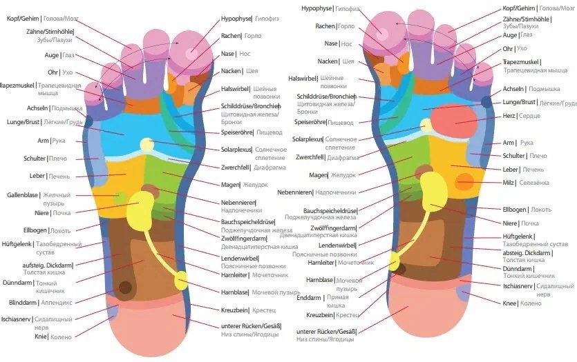 Активные точки на стопе человека схема расположения