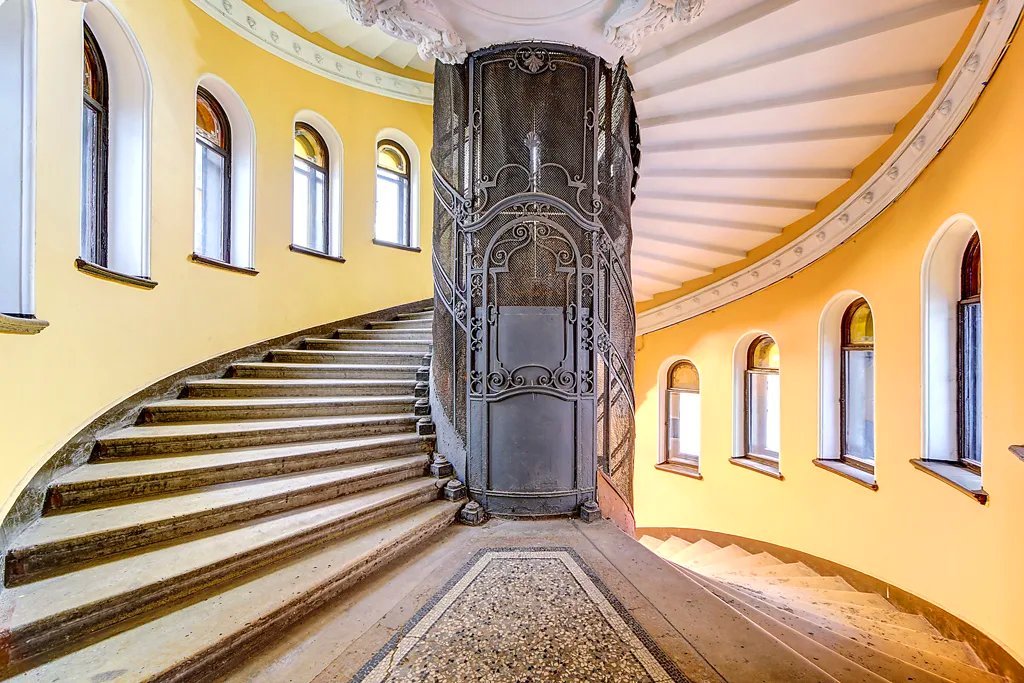 Парадная ромашка санкт петербург
