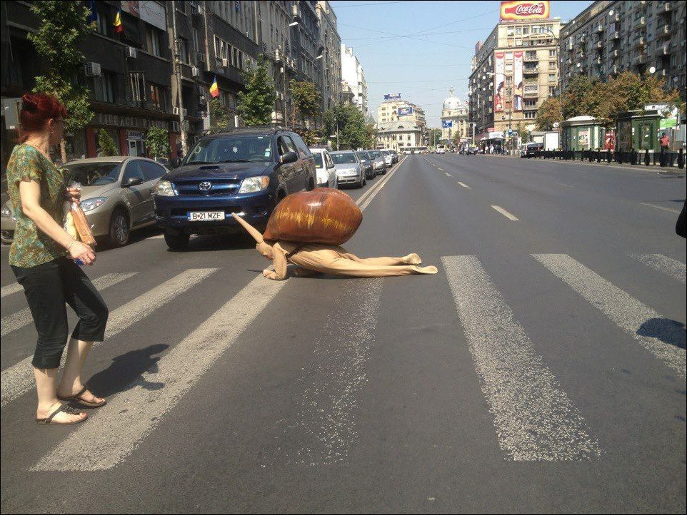 Раздавленная улитка фото