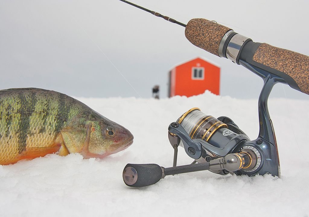 Ice fishing. Ice Fisherman. Айс Фиш рыба Реутов. Хамелеон айс фишинг.