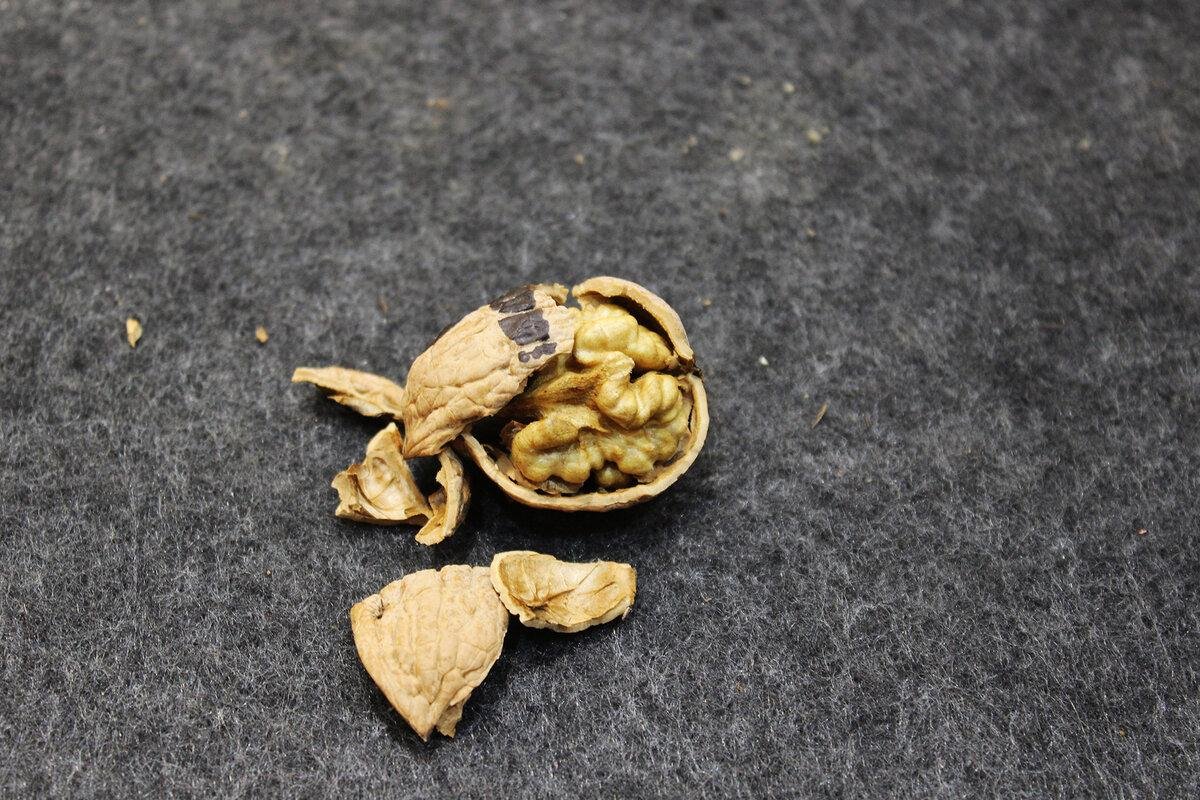 Чистка грецким орехом bmw