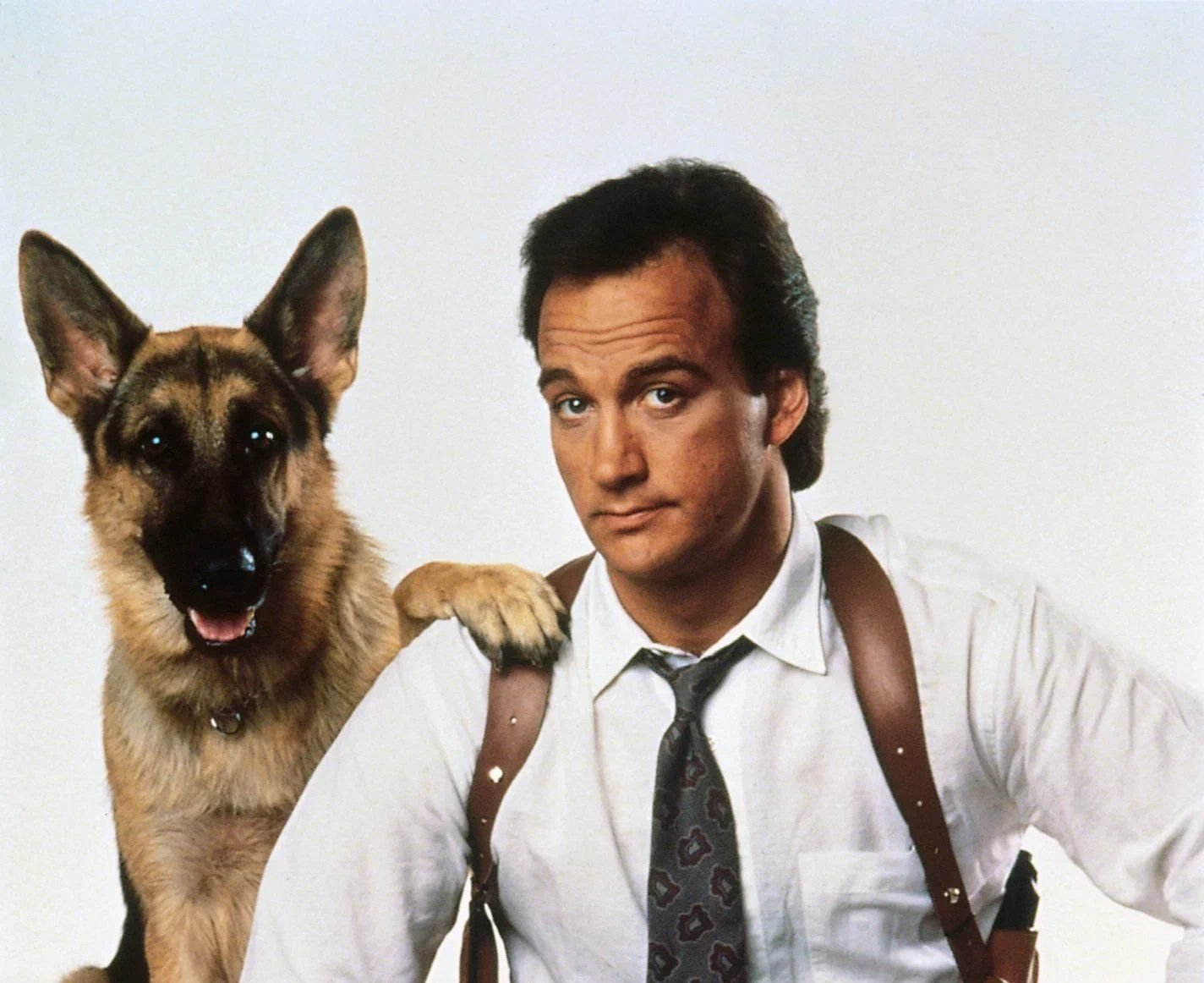 7 фактов о фильме "К-9: Собачья работа" | Марсель Македонский Пульс Mail.ru