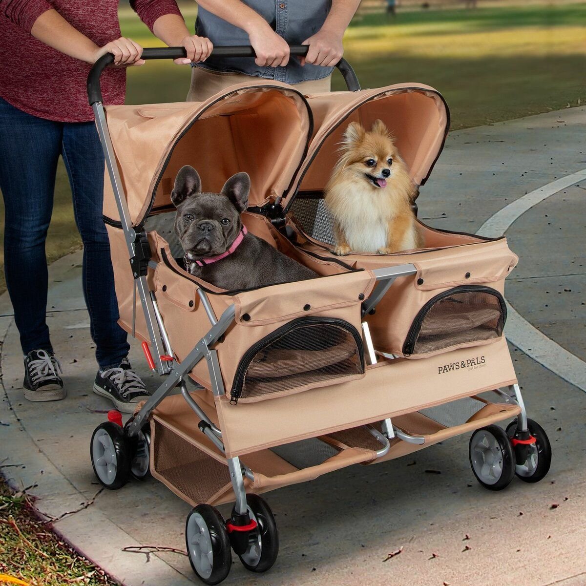Собака в коляске фото