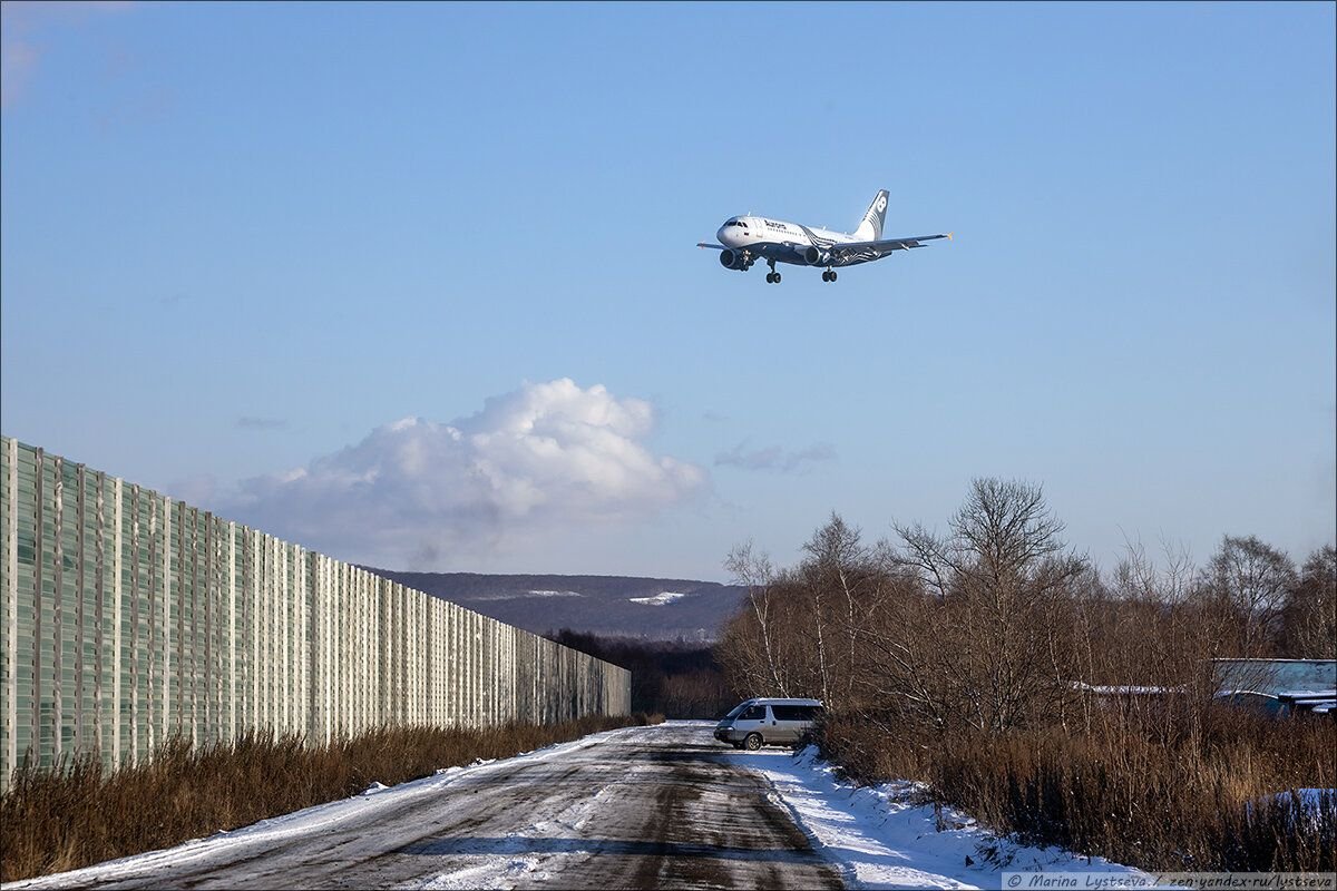 Петропавловск-камчатский самолет. Камчатка самолет. Камчатка перелет. 737 max s7 глобус. Когда прилетит самолет петропавловский камчатку.