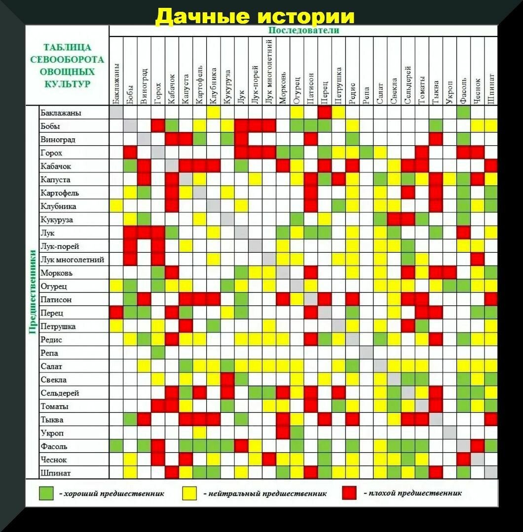 Схема севооборота на дачном участке