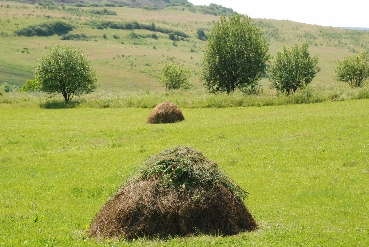 Косой острой горой скошено высокой сложено что это