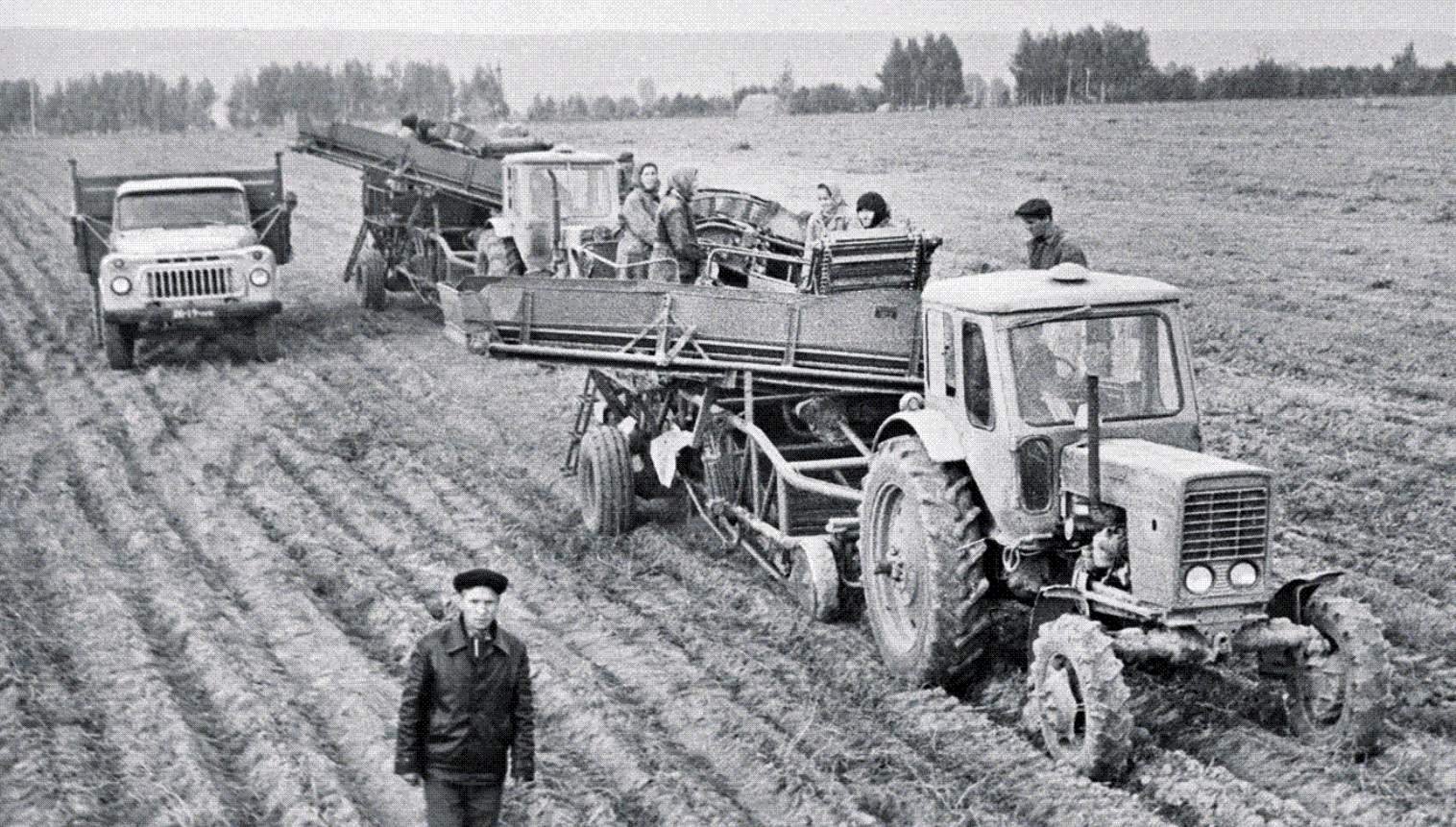 Сельское хозяйство СССР 1970