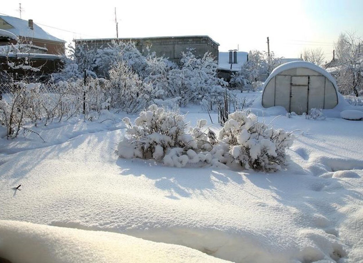 Зачем земле снег. Снег на участке. Много снег на земле. Заснеженная дача. Дачный участок зимой фото.