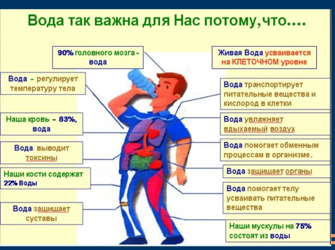 Каким образом человек может. Значение воды. Роль воды в жизни человека. Значимость воды в жизни человека. Значение воды в жизни.