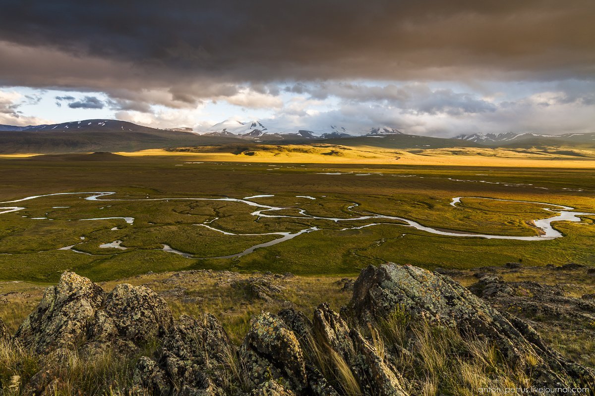 Плато укок горный алтай фото