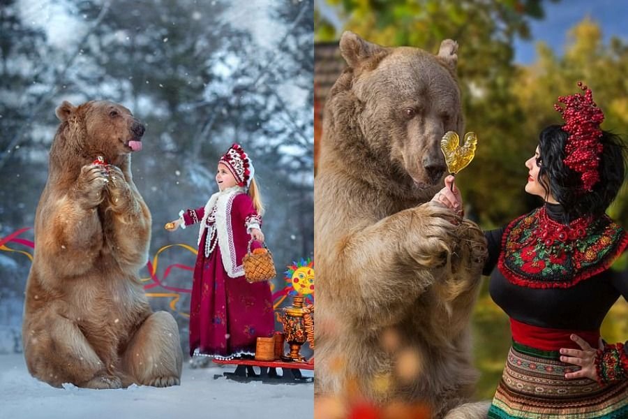 Медведь так полюбил никиту