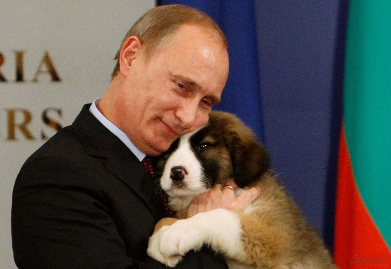 Баффи собака Путина