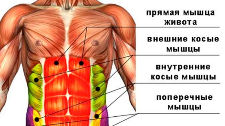 Пресс сидя на стуле