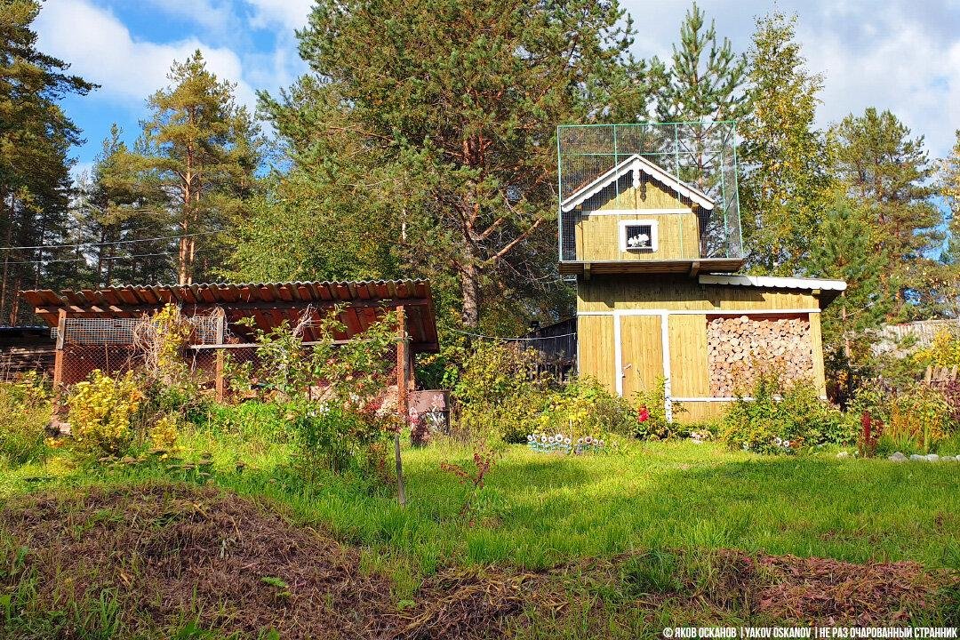 Дом из фильма любовь и голуби сейчас фото