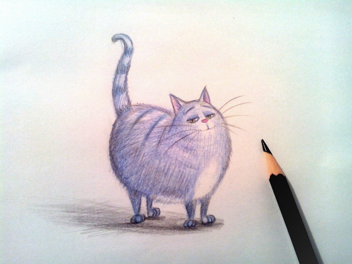 Кошка легко карандашом цветным