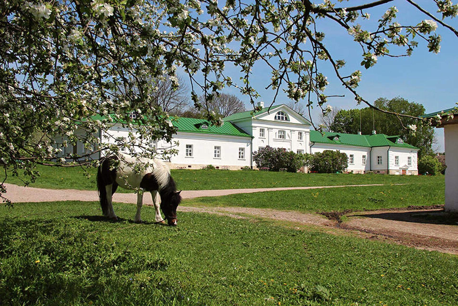 Музей-усадьба Ясная Поляна