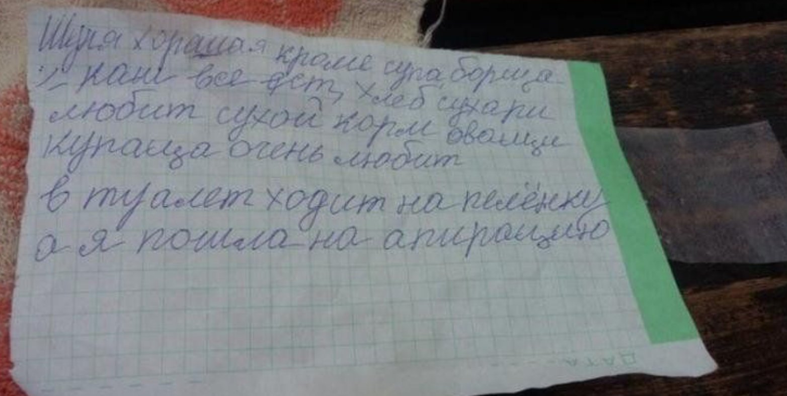 Записки о скизи новое. Бабушка оставила собаку на остановке с запиской. Записка от бабушки. Собачка на остановке с запиской. Шуня собака Белгород.