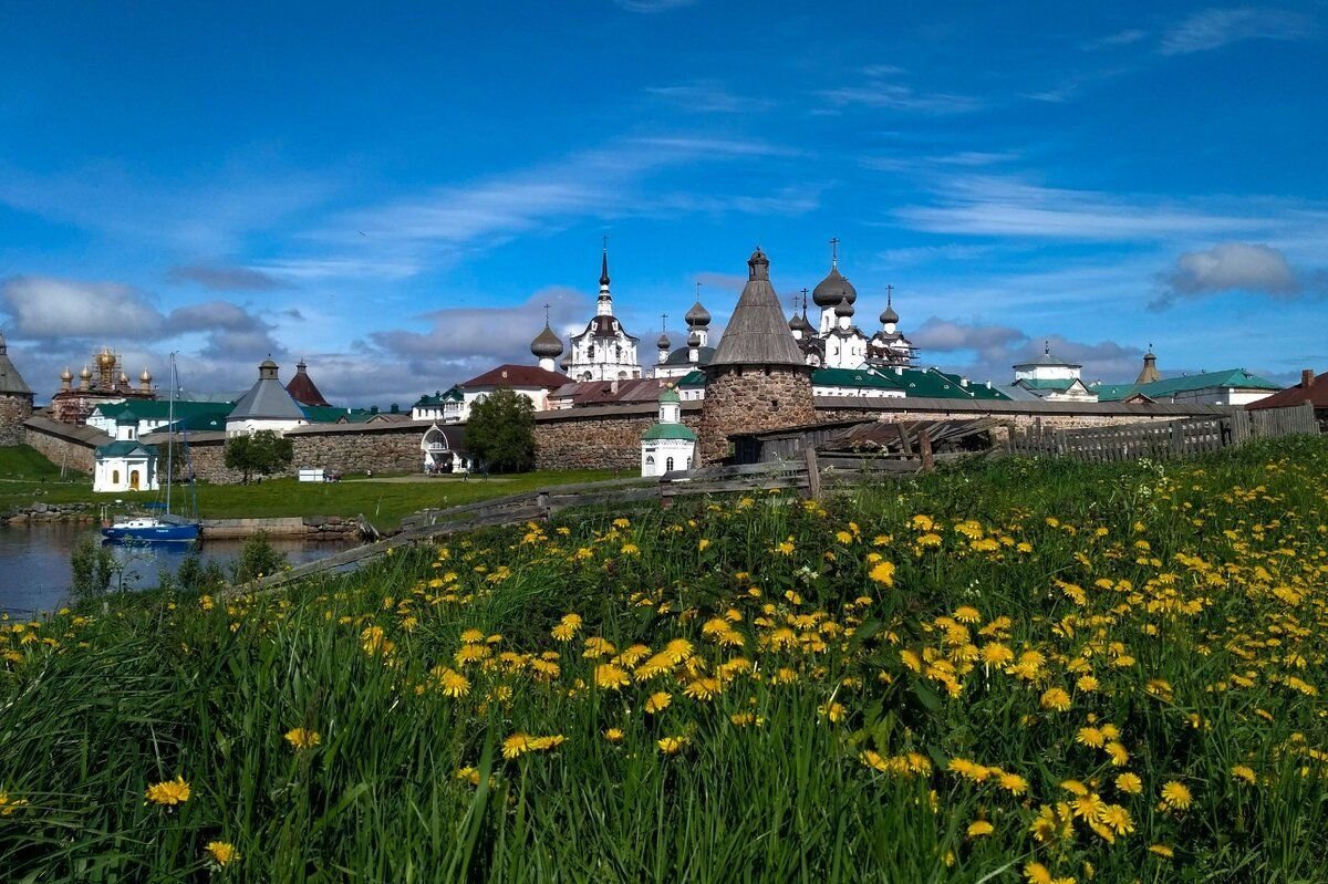 Фото соловки летом