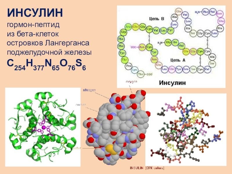 Инсулин картинки для презентации