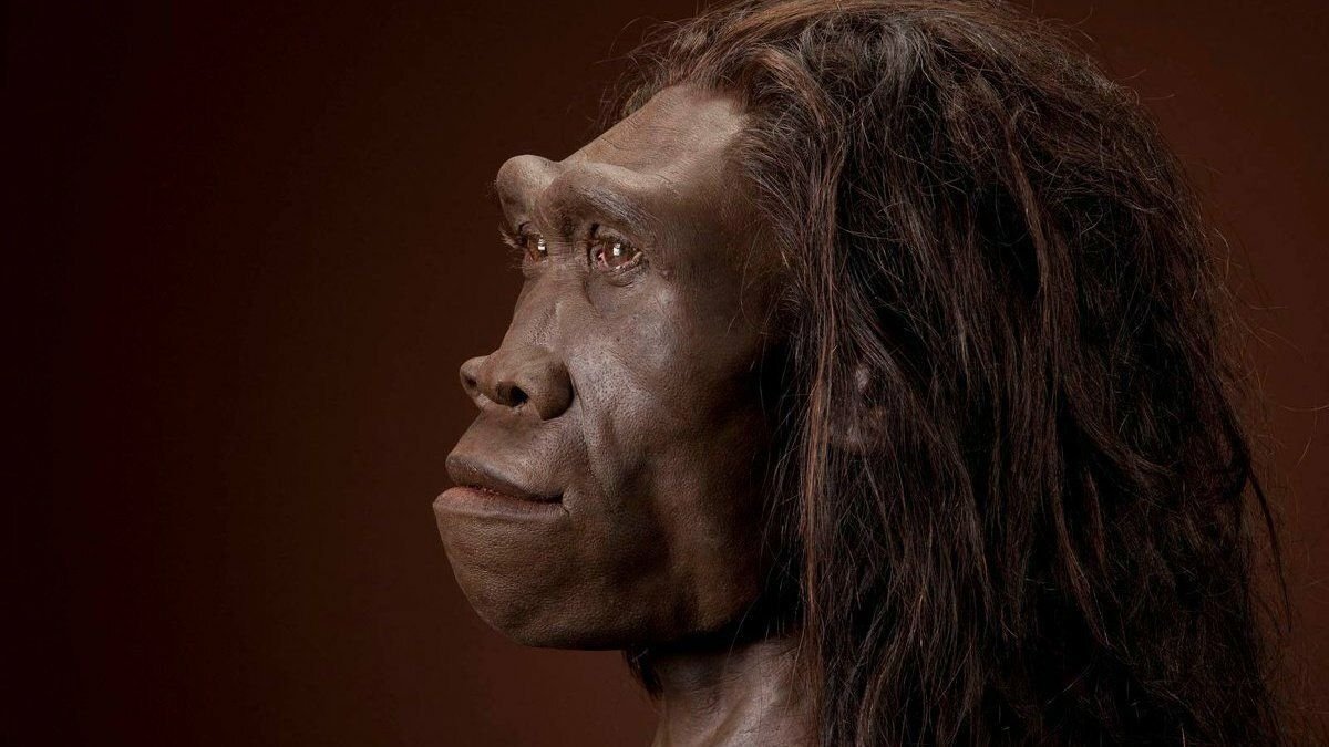 Облик внешний вид человека. Человек прямоходящий homo Erectus. Эректус питекантроп неандерталец. Хомо сапиенс Эректус.