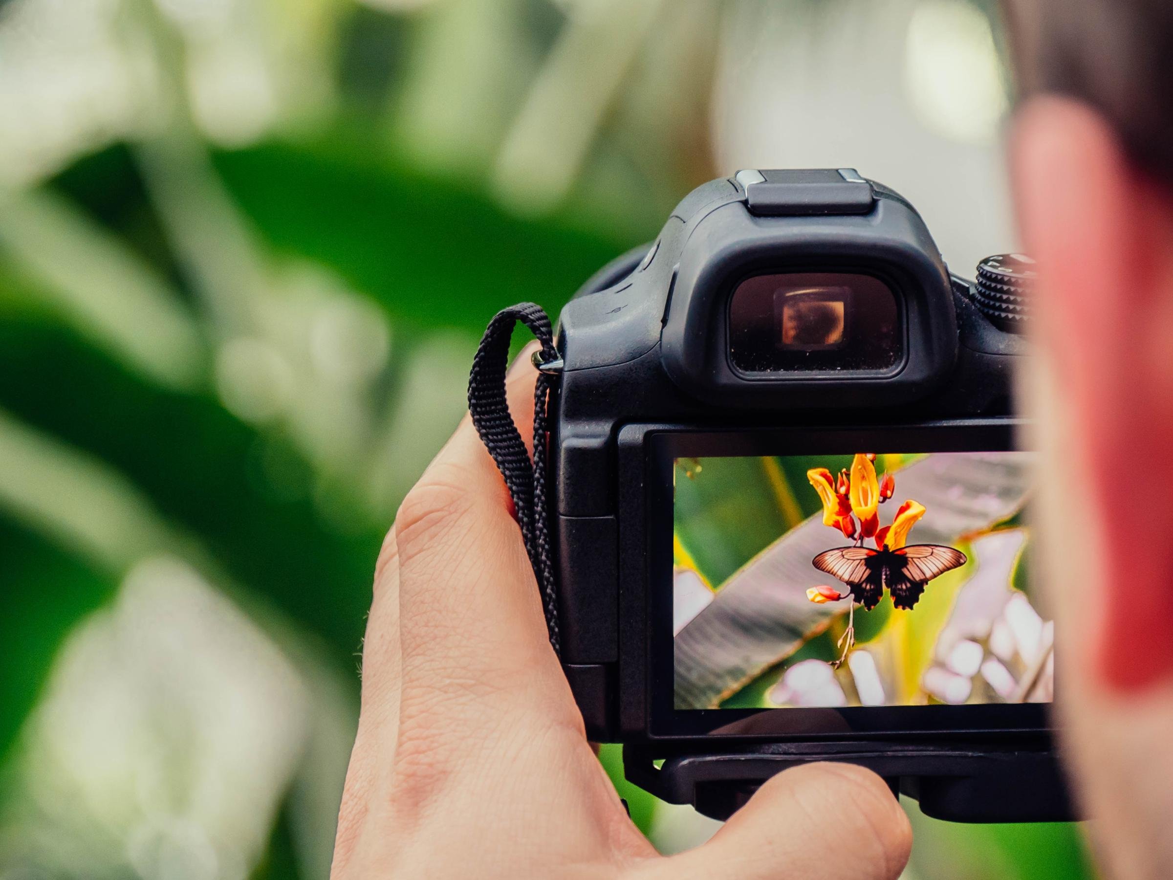 Автоматическая фотокамера делает фотографии высокого разрешения с палитрой 16777216 цветов