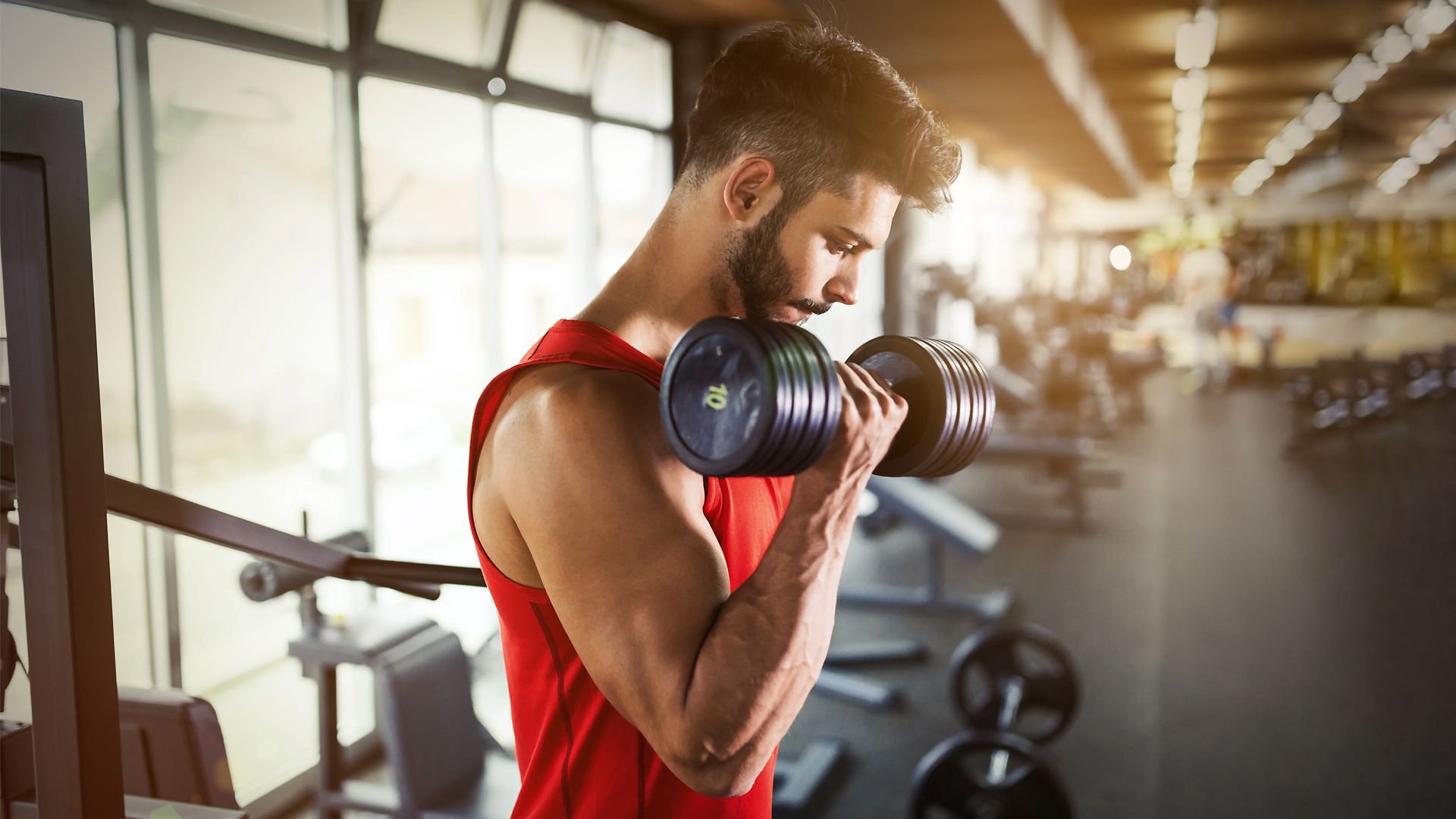 тренировка в тренажерном зале. фитнес тренировка. обычные тренировки. обычные тренировки. занимается в тренажерном зале.