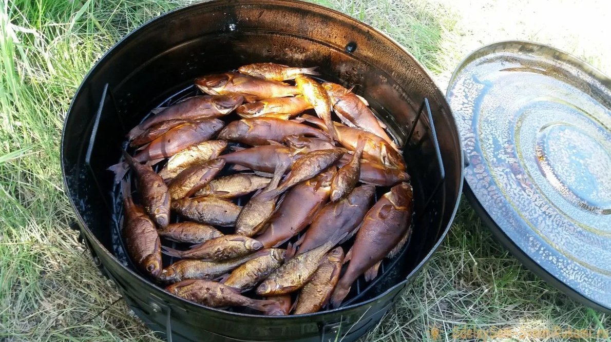 жареный карп в казане на костре. копчение рыбы. рыба горячего копчения карп. жареная рыба в казане на костре. коптильня для рыбы.