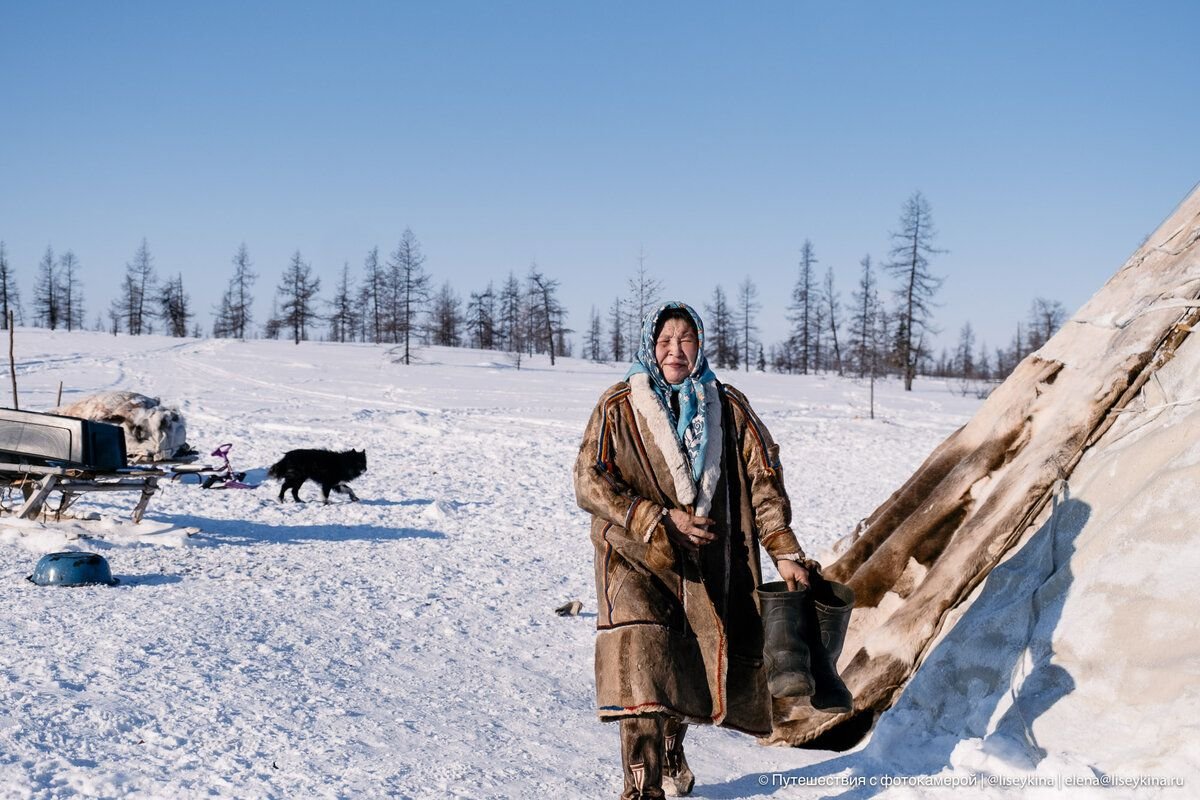 -30 °С зимой в тундре — абсолютно обычная и нормальная температура