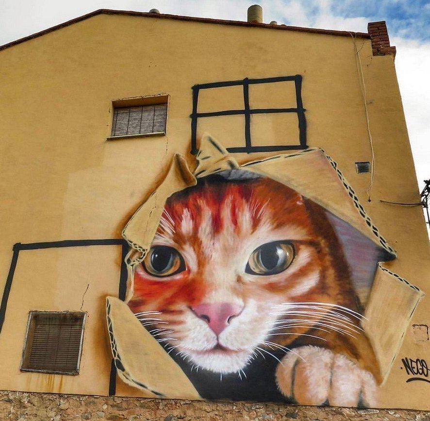 Как нарисовать дом для кота