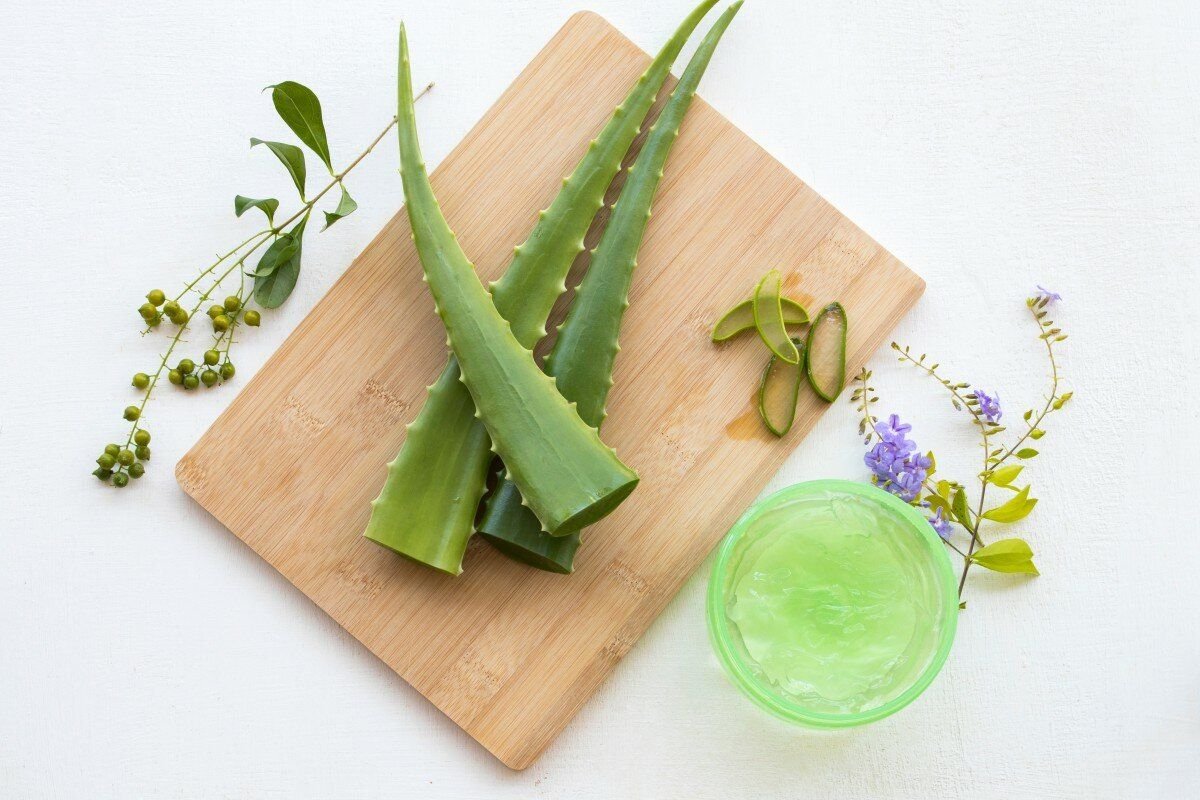 Маска из алоэ. Маска Aloe Vera. Маска из геля алоэ Вера. Маска для лица из алоэ. Алоэ растение для лица.