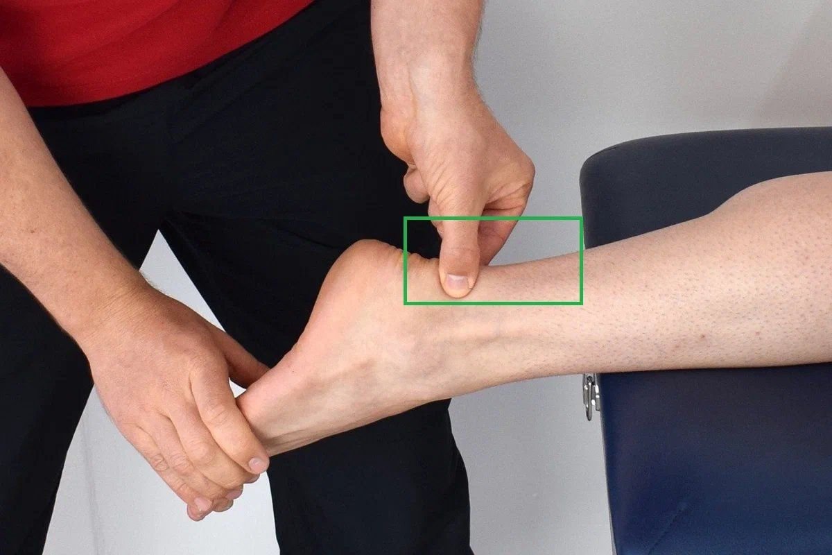 Массаж зоны ахиллового сухожилия, как экспресс-способ расслабить стопы ...