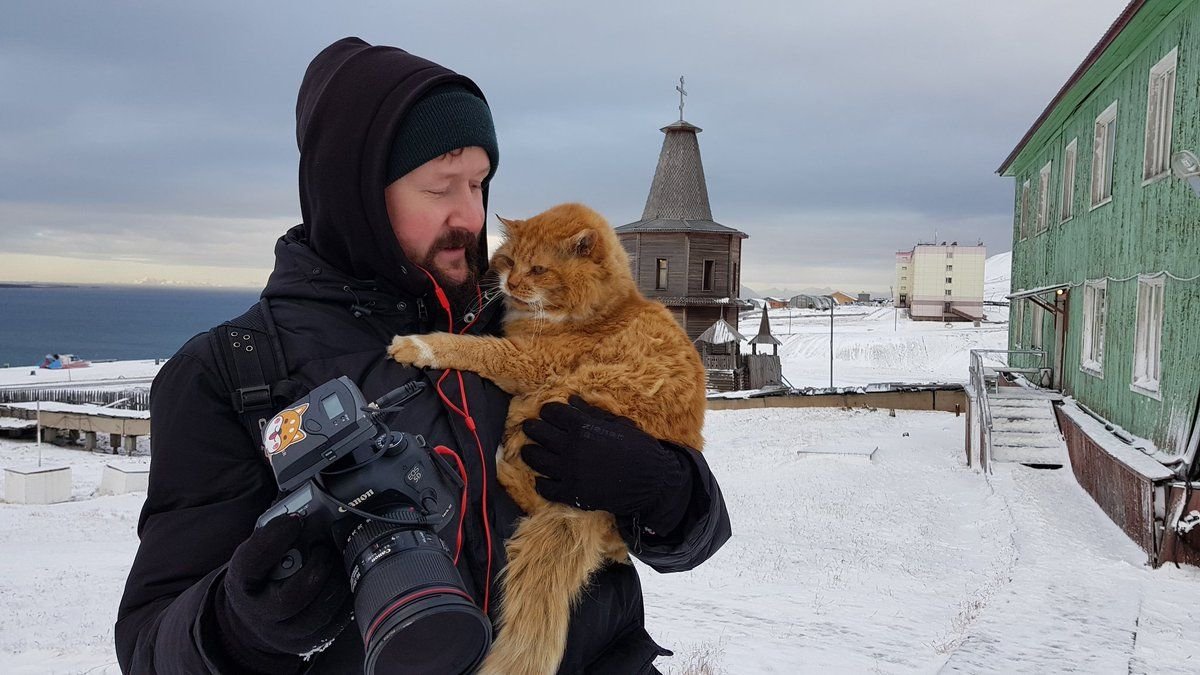 Кот Кеша со Шпицбергена