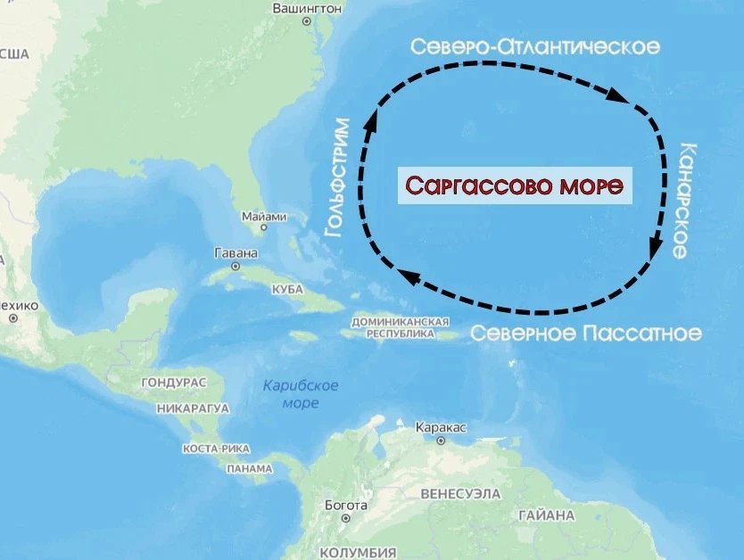 Где какое море находится. Саргассово море на карте. Саргассово море показать на карте. Где находится Саргассово море на карте. Саргассово море границы на карте.