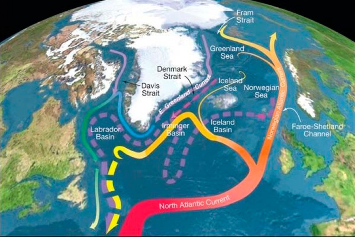 Теплое течение европы. Течения в Северной Атлантике. Атлантический Гольфстрим. Течение Гольфстрим на карте Северной Америки. Гольфстрим течение.