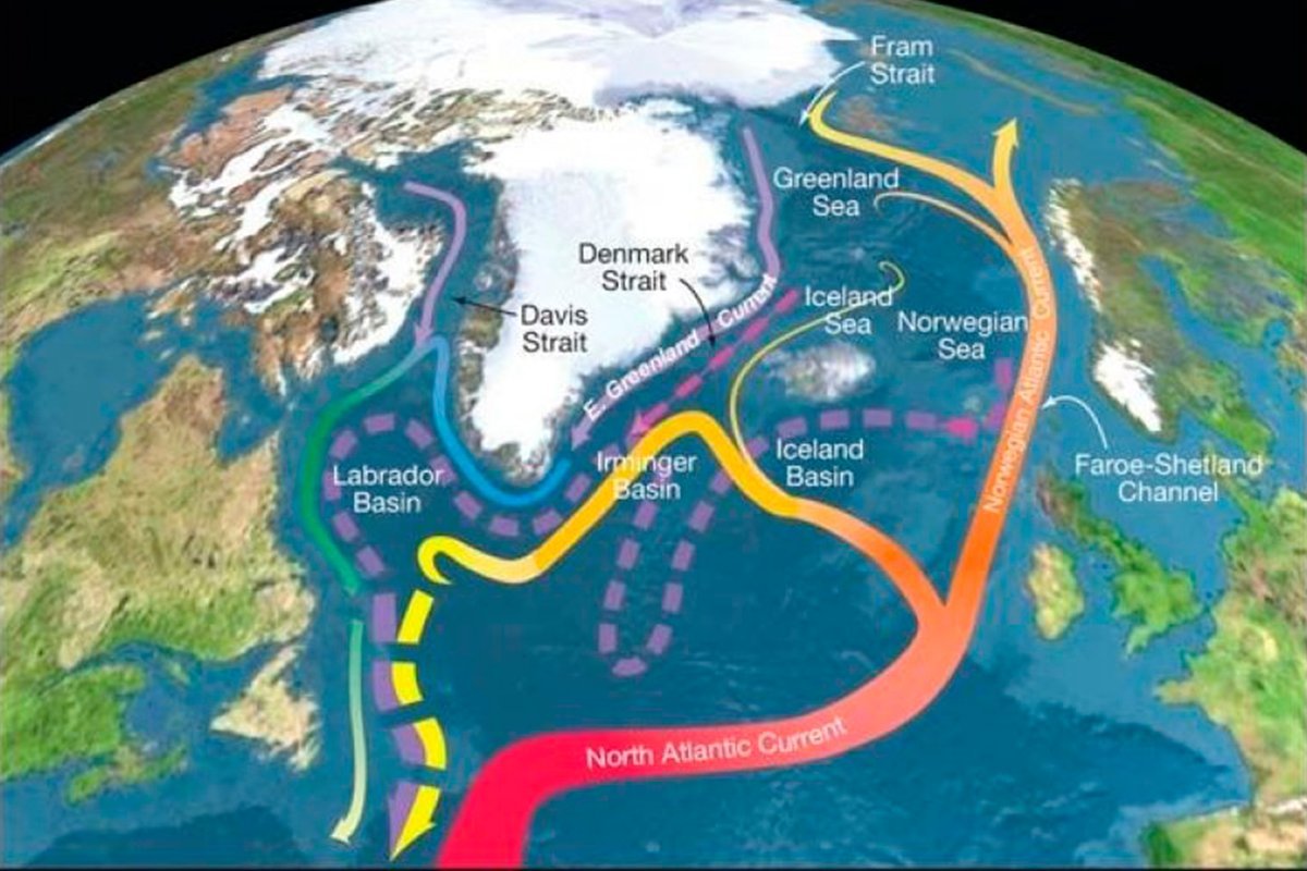 Вопрос говоря о влиянии гольфстрима. Гольфстрим и Лабрадорское течение. Гольфстрим Северо атлантическое норвежское. Течение Гольфстрим на карте. Норвегия Гольфстрим теплое течение.