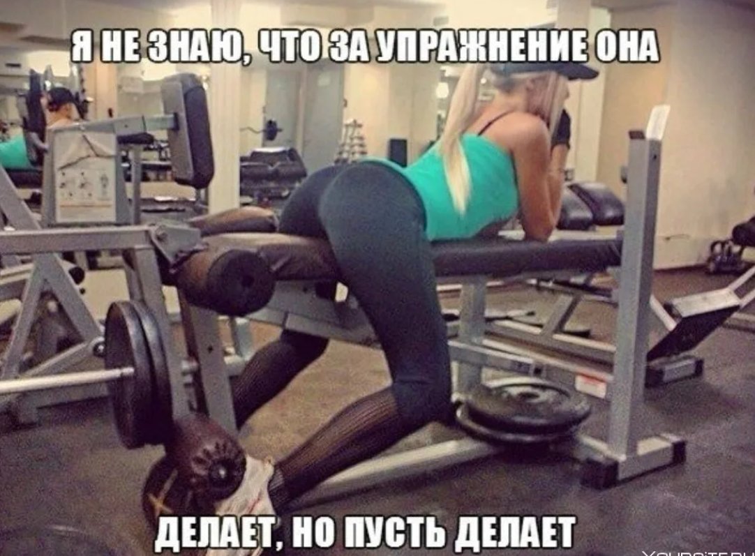 первый день в зале