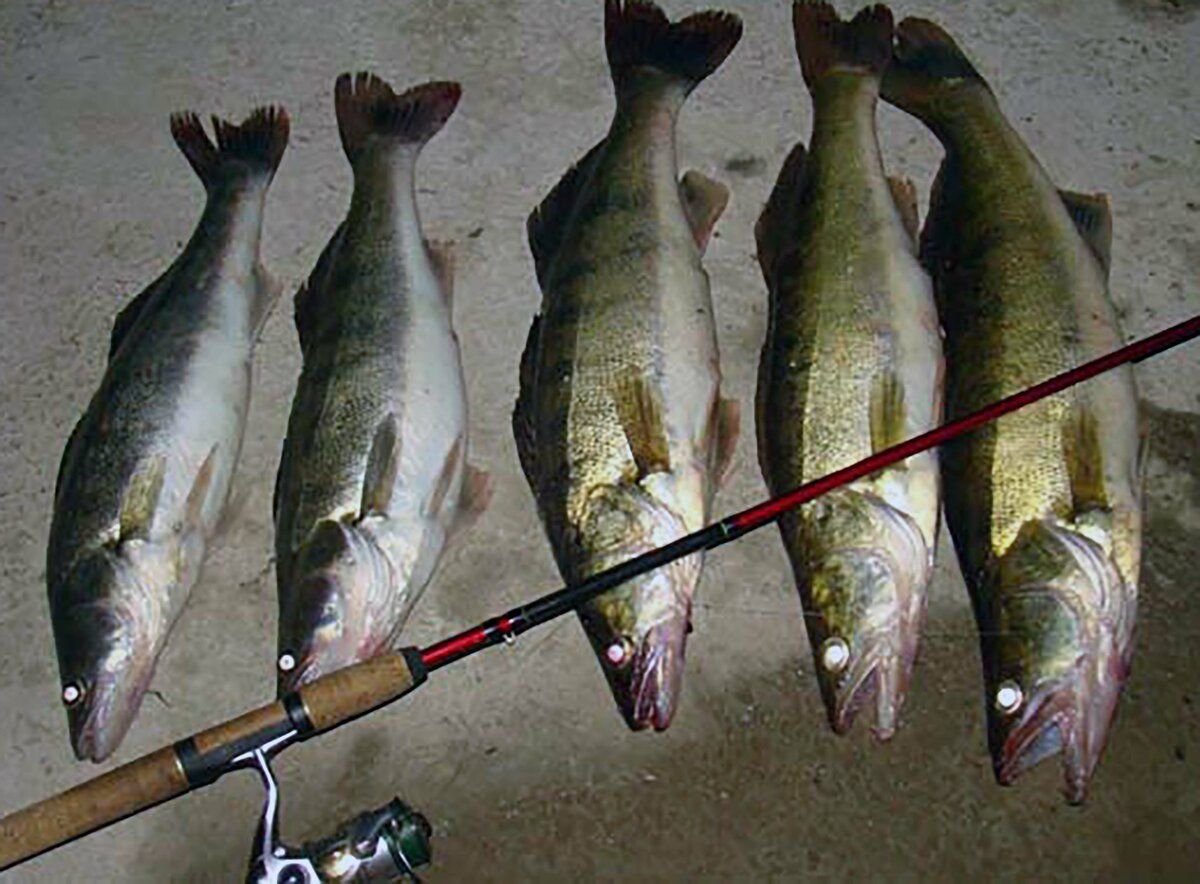 Fall Fishing