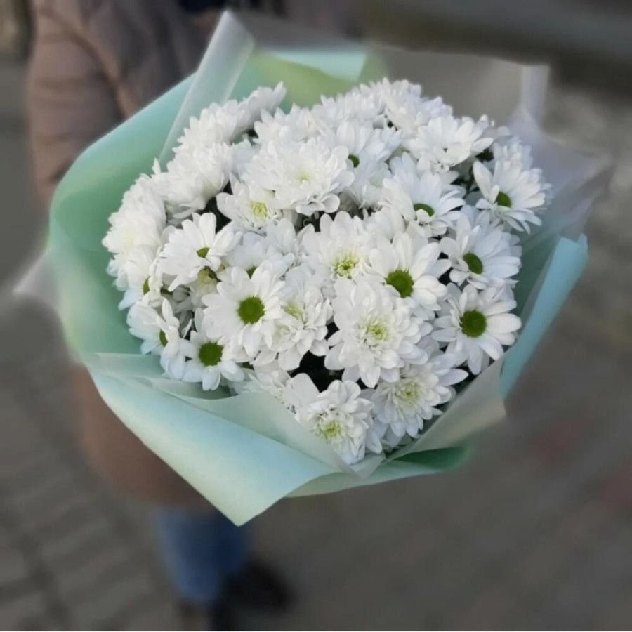 Какие цветы подарить девушке – 6 простых вариантов | Все о цветоводстве ...