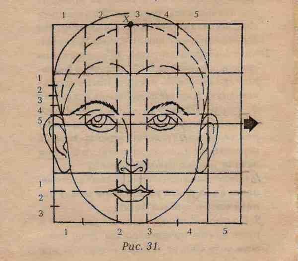 Голова человека анфас рисунок. Пропорции головы человека. Рисование головы человека пропорции головы. Пропорции головы ребенка и взрослого человека.