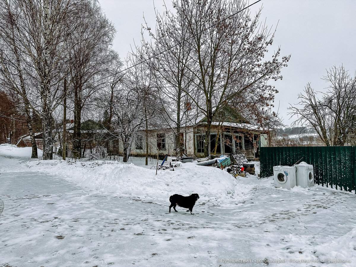 Тут всего одна улица и около 12 домов