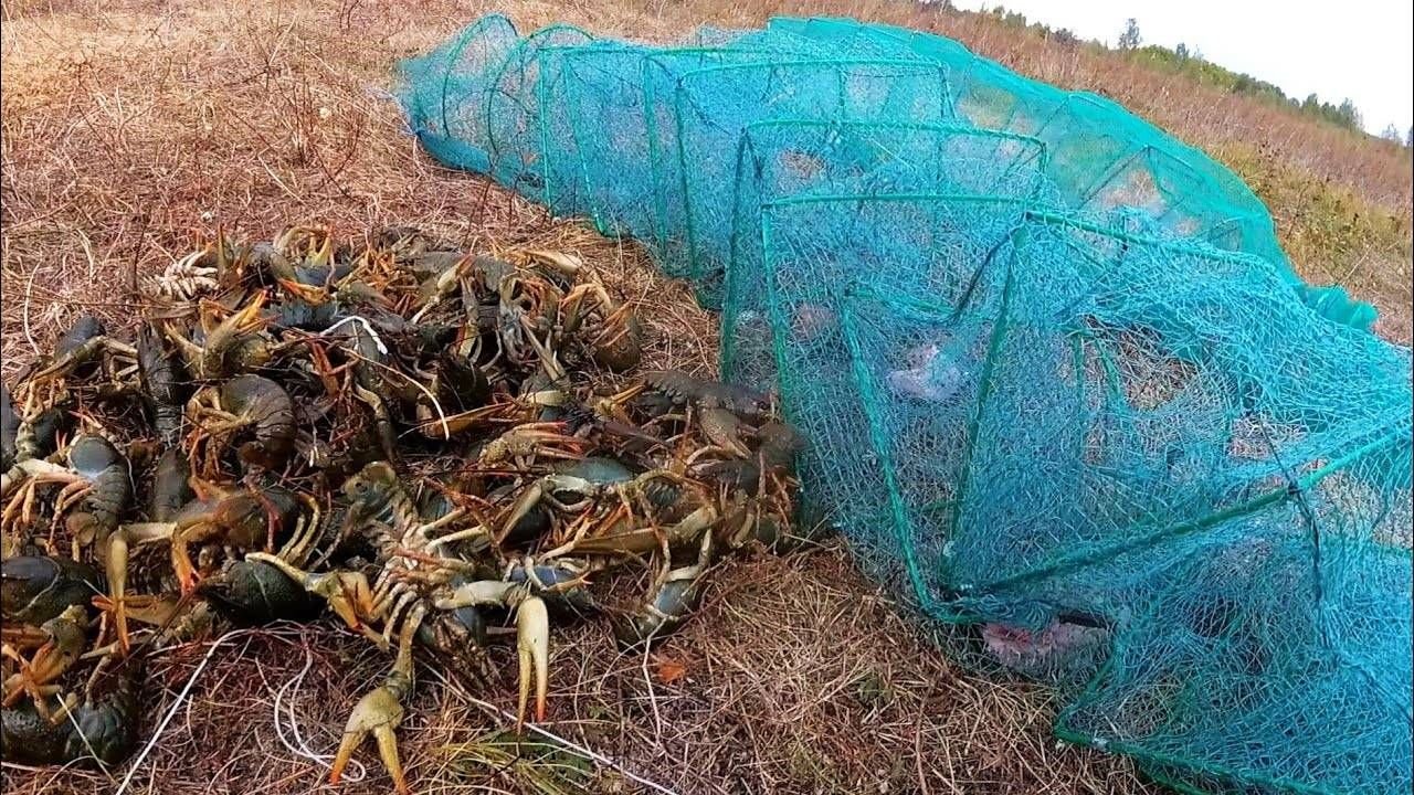 Раколовка своими руками фото