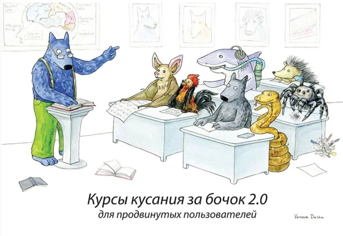 Ложись уже на бочок картинка