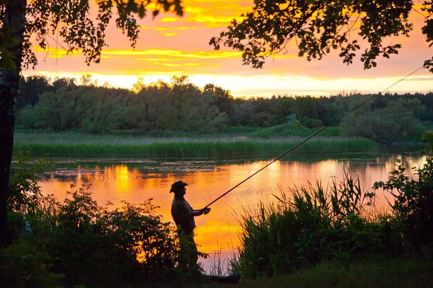 Рыбалка в лесу. Красивая природа рыбалка. Рыбалка летом. Красивые пейзажи на рыбалке. Пейзаж с рыбаком.