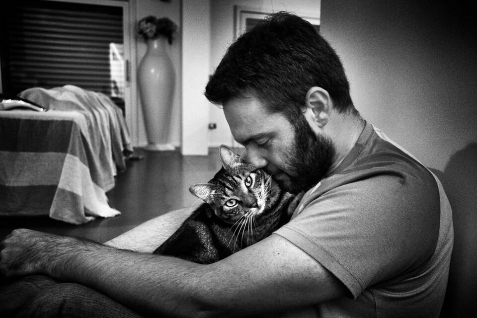 Картинки кошек с людьми