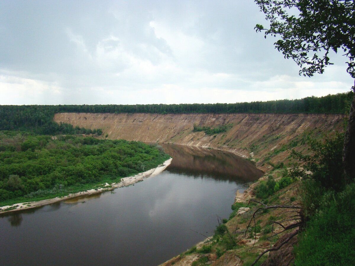 Урочище Кривоборье Воронежская область