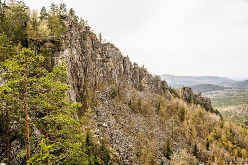 Зубы шурале башкирия фото