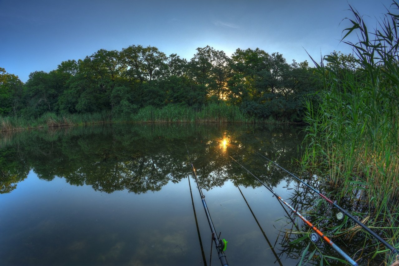 Фото ночной рыбалки лето река